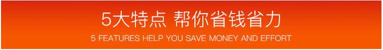 五大特點